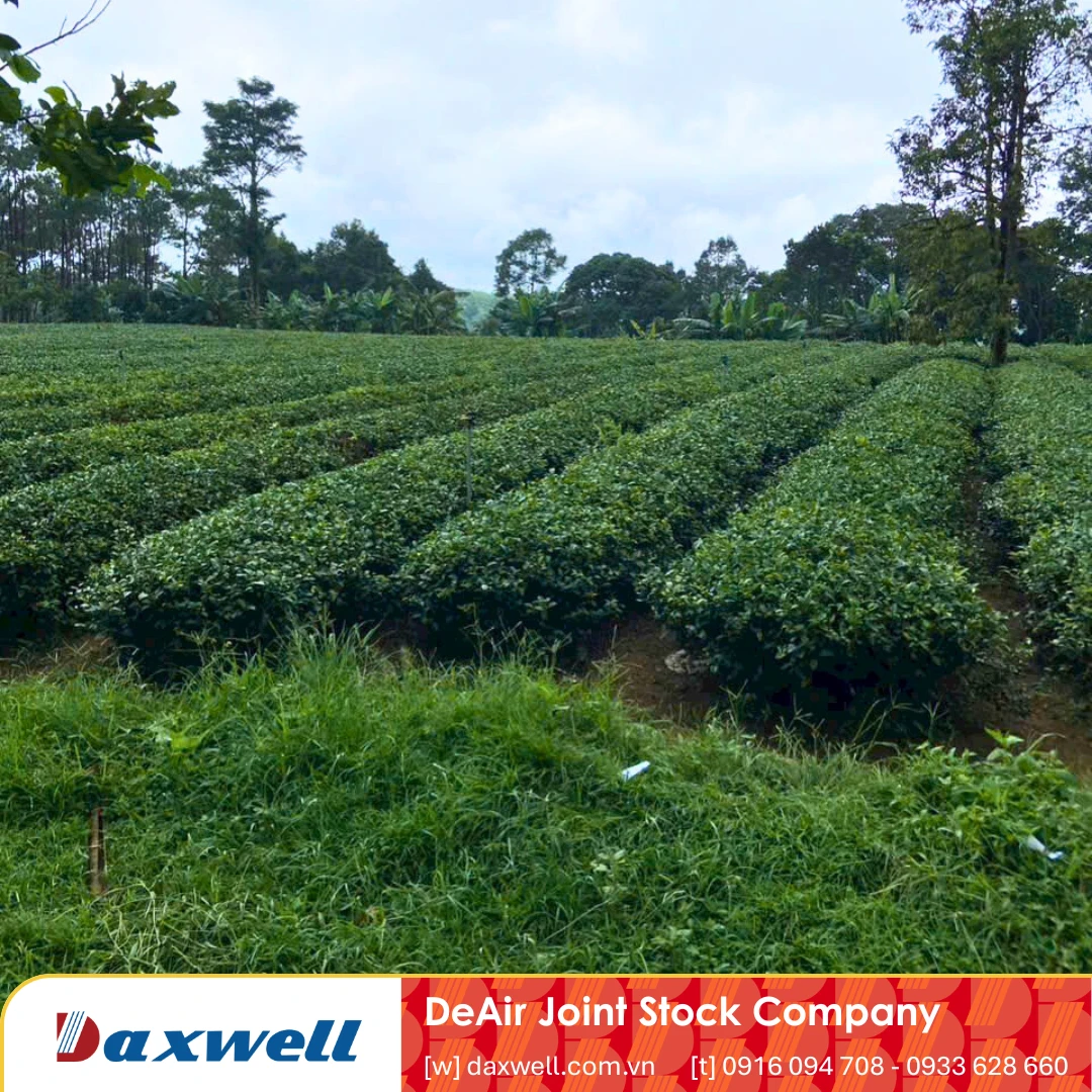 Landscape near the customer's paper manufacturing plant in Quang Ngai.