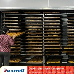 From "Bumper Crop, Low Prices" to Export-Quality Soft-Dried Mango: The Daxwell Heat-Pump Drying Process