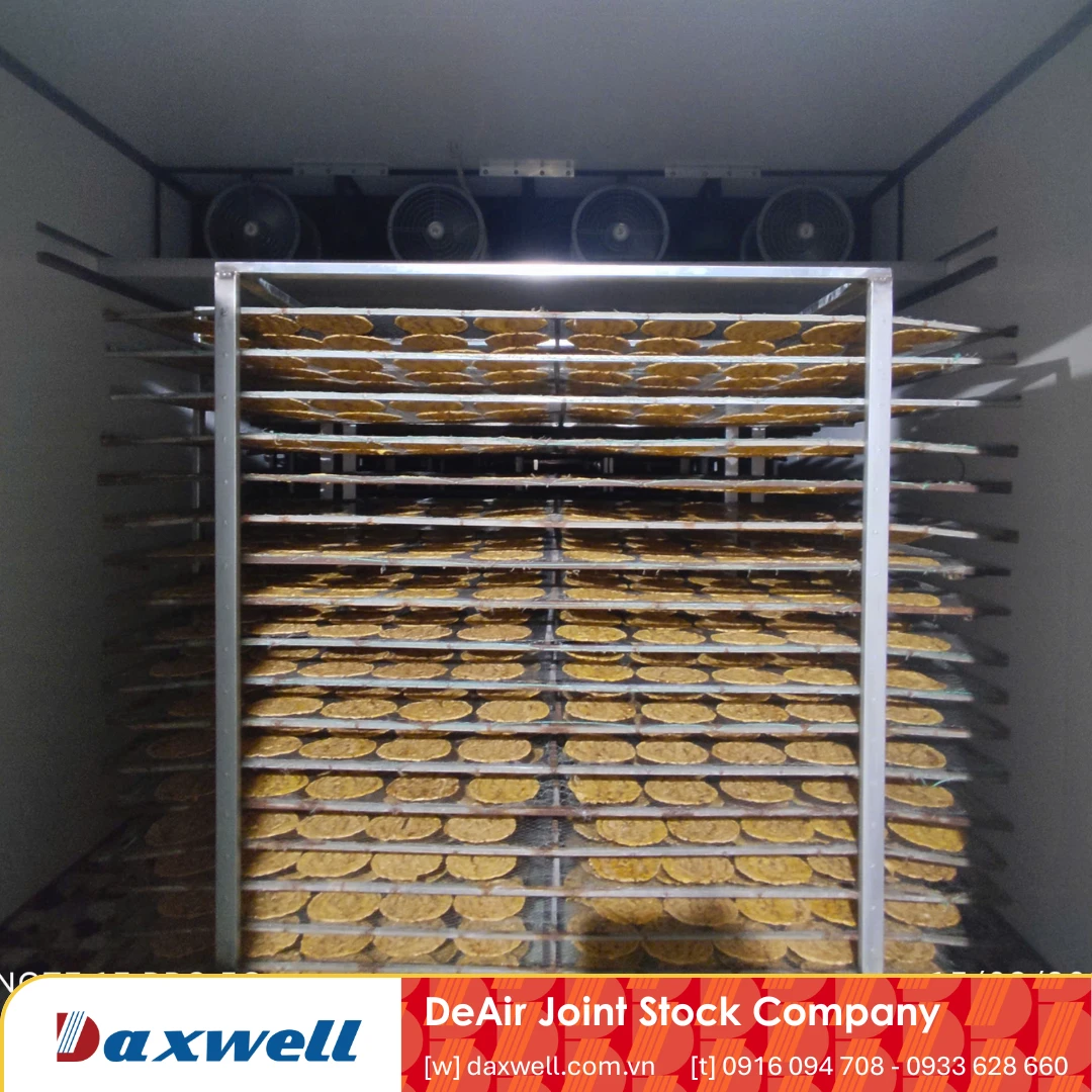 Hệ thống phòng sấy chuối dẻo Daxwell