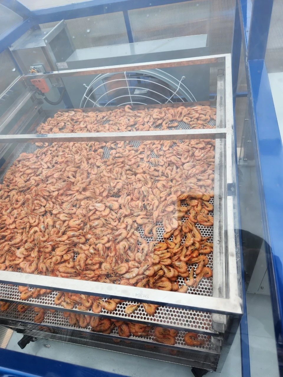 Sấy tôm khô công nghiệp hiệu quả bằng máy sấy Daxwell