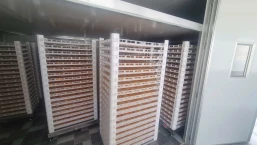 Export-Standard Mango Drying Room Solutions with Daxwell Heatpump Technology